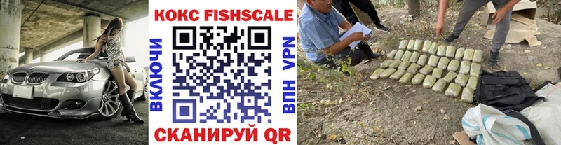 COCAIN Fish Scale Сальск