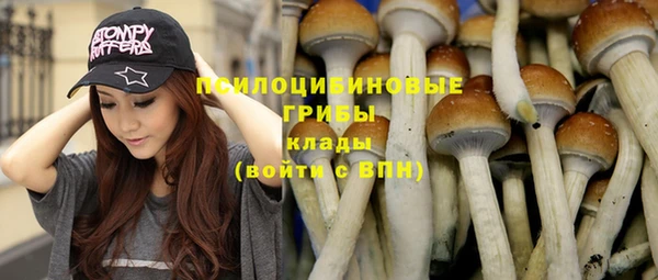 прущая мука Абдулино