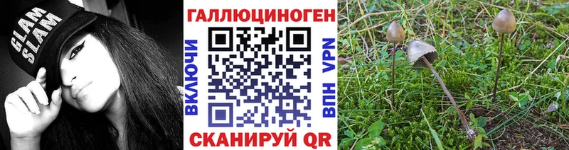 Псилоцибиновые грибы мухоморы  Сальск 